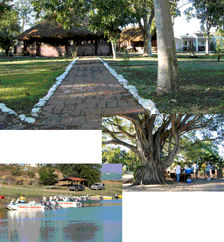 Nice clean cabins, quality boats and the outdoor bar under the giant Tule tree at Mexico's Club El Salto await trophy bass anglers. Nice clean cabins, quality boats and the outdoor bar under the giant Tule tree at Mexico's Club El Salto await trophy bass anglers.