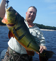 Tony with a huge 21 pound Rio Negro Brazil peacock bass