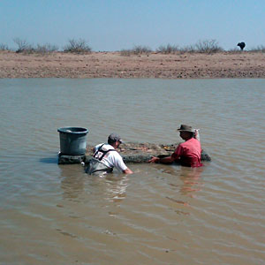 New Mexico B.A.S.S. Federation Nation wins Berkley Conservation Award for studying if gamefish will spawn on suspended artificial platform New Mexico B.A.S.S. Federation Nation wins Berkley Conservation Award for studying if gamefish will spawn on suspended artificial platform
