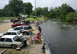 Anglers line the Pine River fishing during the City of St Louis Michigans Joe Scholtz Annual Free Fishing Derby Anglers line the Pine River fishing during the City of St Louis Michigans Joe Scholtz Annual Free Fishing Derby