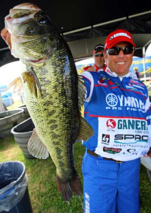 Dean Rojas leads day one of the B.A.S.S. Elite Toledo Bend event with the help of this 7 pound bass Dean Rojas leads day one of the B.A.S.S. Elite Toledo Bend event with the help of this 7 pound bass
