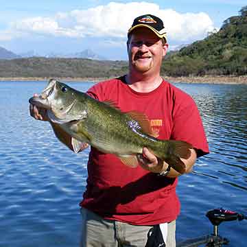Eight pound eight ounce Mexico Lake Comedero largemouth bass caught from a thorn tree on a Kicker Fish Shad Stick Eight pound eight ounce Mexico Lake Comedero largemouth bass caught from a thorn tree on a Kicker Fish Shad Stick