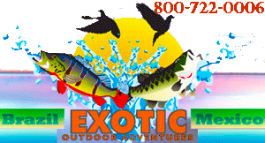 Exotic Outdoor Adventures for the very best in trophy black bass fishing in Mexico! Exotic Outdoor Adventures for the very best in trophy black bass fishing in Mexico!