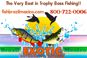 Exotic Outdoor Adventures for the very best in trophy black bass fishing in Mexico and peacock bass fishing in Brazil!
