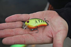 Bill Lowen shows his new IMA square bill crankbait Bill Lowen shows his new IMA square bill crankbait