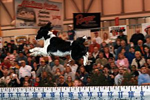 ultimate air dogs family abounds at ultimate sport show march 17 to 20 ultimate air dogs family abounds at ultimate sport show march 17 to 20