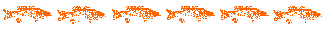 smallies separator