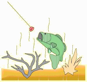 Dan Kimmel's GreatLakesBass.com Bass Fishing Humor How Not to Fish Bass Tournaments