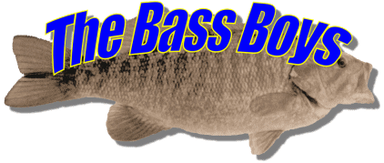 The Bass Boys club logo