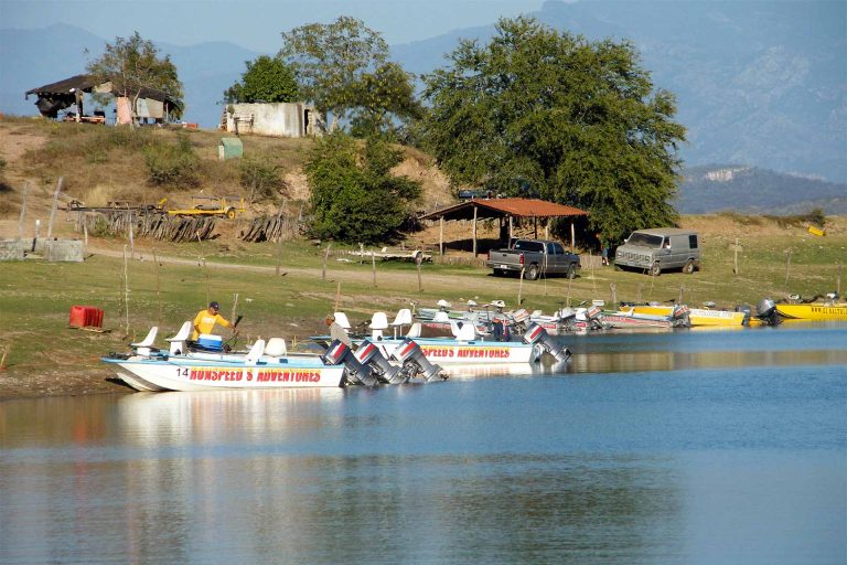 June is Big Bass Month on Lake El Salto