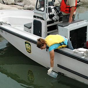 Michelle Budny from the University of Notre Dame collects a water sample from Lake Erie for Asian carp eDNA screening. Photo credit: Lindsay Chadderton, The Nature Conservancy.