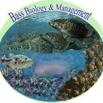 Bass Biology header