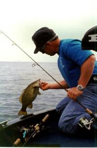 Derek hoists a Great Lakes football smallie into the boat.