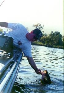 Derek tries to land a huge Lake Ovid jig & pig largemouth.