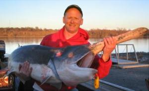 Canadian bass tournament angler Jon Bondy ran into this primitive paddlefish caught by an angler on Grand Lake, Oklahoma – estimated between 60-70 pounds.
