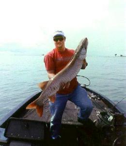 My biggest musky ever, close to 50” and thick as a log. She hit a 5” Xtreme Bass St. Clair goby tube in 20 feet along the St. Clair shipping channel drop. Jumped clear of the water like a missile launch next to a passing freighter. No wonder the smallies weren’t biting there. Photo by Jeff Bishop (shot on slide film so the scan is poor)