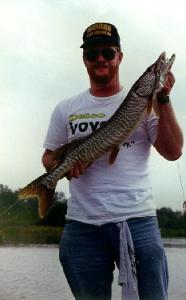 Here’s a Lake Ovid tiger musky on a day Angie & I landed 2 along with 75 bass. This toothy fish hit a white on white spinnerbait.