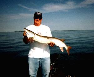 An average Lake St. Clair musky. Fish around weeds & edges on the big lake & you’re bound to catch some of these tough guys.
