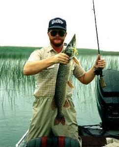 Pike like this one from my much younger days are all over L. St. Clair. A blast on a buzzbait. Photo by Dan Launstein